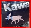 Kawa-Elch